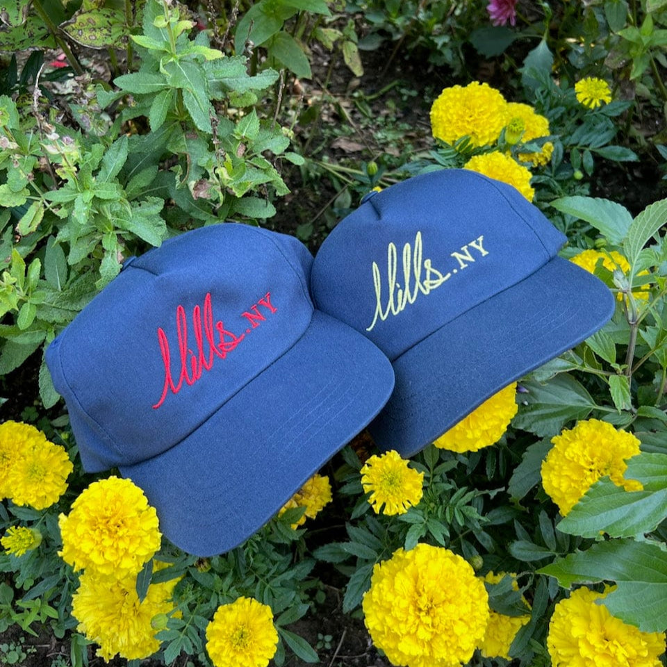 Mills.NY Script Snapback